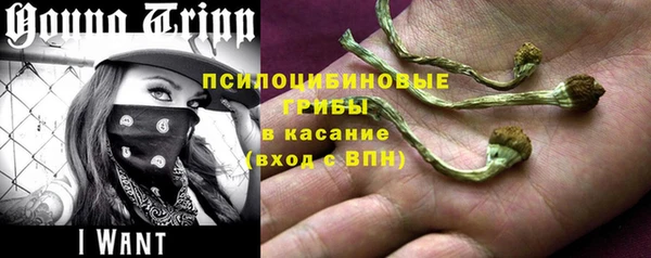 мет Баксан