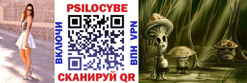 Купить где  Бобров  Галлюциногенные грибы Psilocybine cubensis 