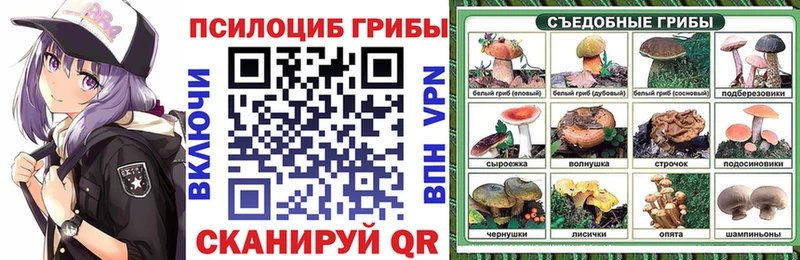 Галлюциногенные грибы GOLDEN TEACHER Бобров